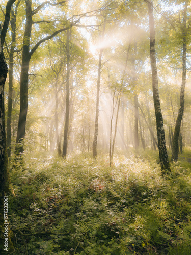 Single frame
