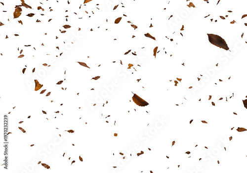 Falling autumn leaves swirl and cascade against a stark completely black background