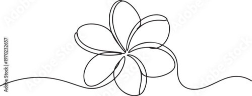 Plumeria flower continuous one line drawing. Frangipani linear blossom. One continuous line drawing of Plumeria flower. one line Icon drawing