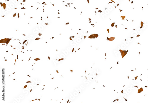 Falling autumn leaves swirl and cascade against a stark completely black background