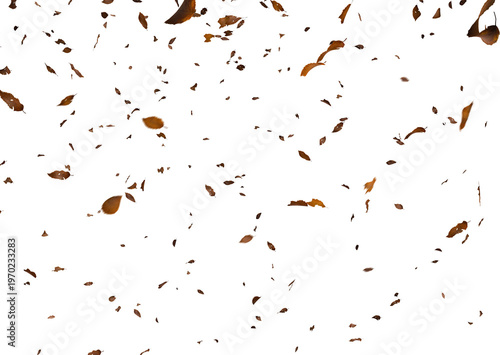 Falling autumn leaves swirl and cascade against a stark completely black background