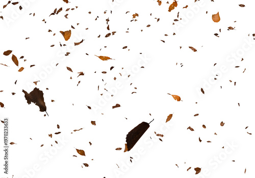 Falling autumn leaves swirl and cascade against a stark completely black background