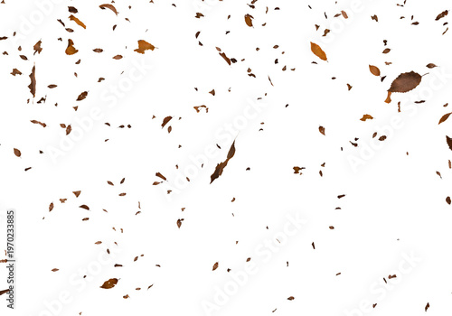 Falling autumn leaves swirl and cascade against a stark completely black background