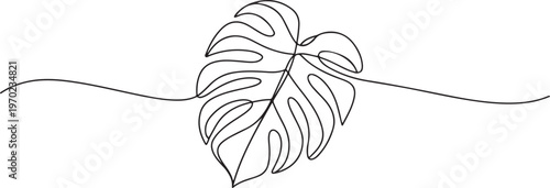 Hand-drawing one continuous line art of tropical monstera leaves. Monstera leaf. one line Icon drawing