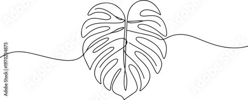 Hand-drawing one continuous line art of tropical monstera leaves. Monstera leaf. one line Icon drawing