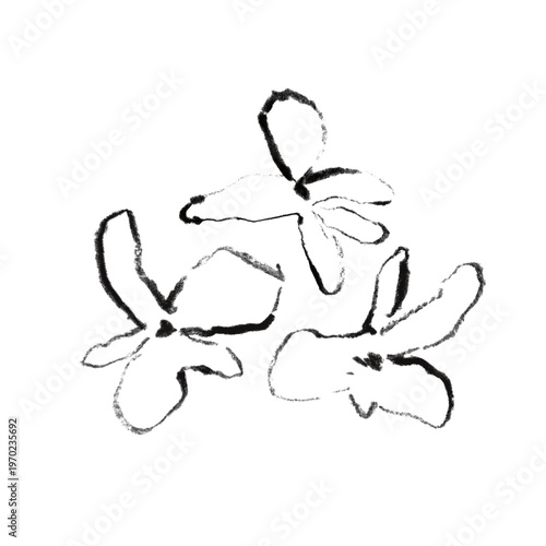 Minimal flower shapes clipart, charcoal botanical elements, boho floral PNG