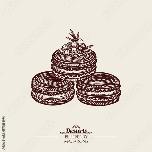 Three blueberry macaron cakes stacked in a pyramid. French Dessert. Line art Illustration. Vector sketch style.
