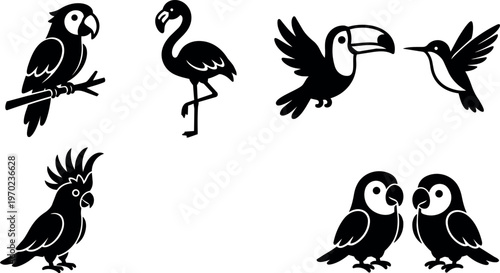 Tropical birds including toucan and flamingo