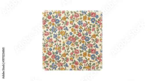 Cuadro en lienzo Vintage floral pattern fabric swatch with frayed edges