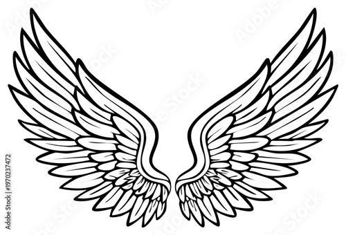 Pair of stylized wings artistic angel feathered graphic elements isolated on white