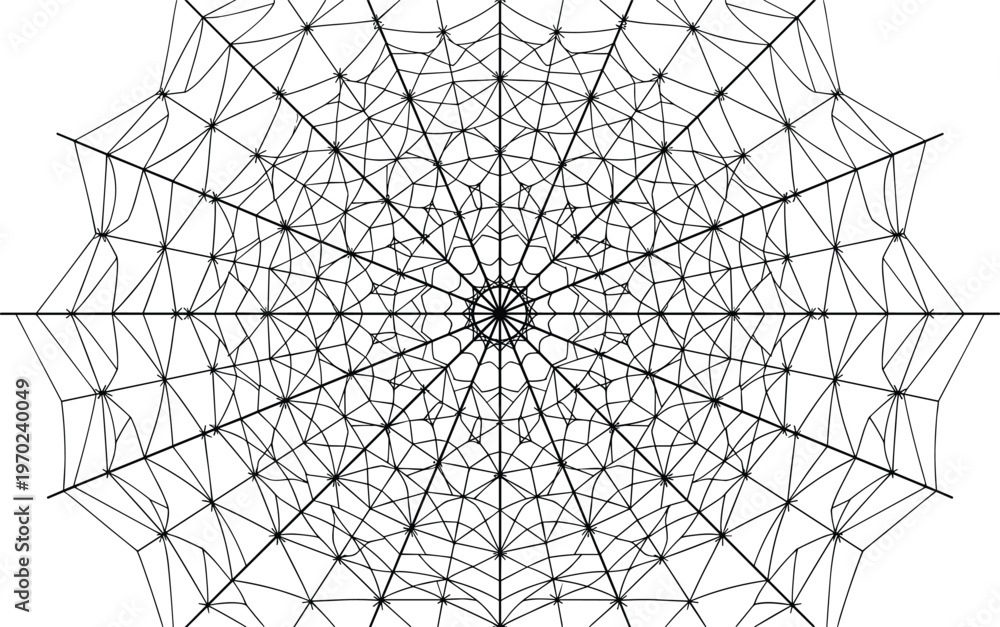 Obraz premium Abstract geometric spider web pattern radial symmetry black line mandala design intricate network structure vector illustration isolated background