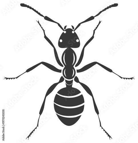 Stylized silhouette of a top down view ant with stripes on its abdomen