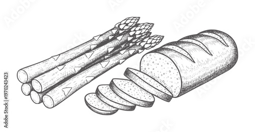 Hand drawn asparagus spears and sliced bread loaf food