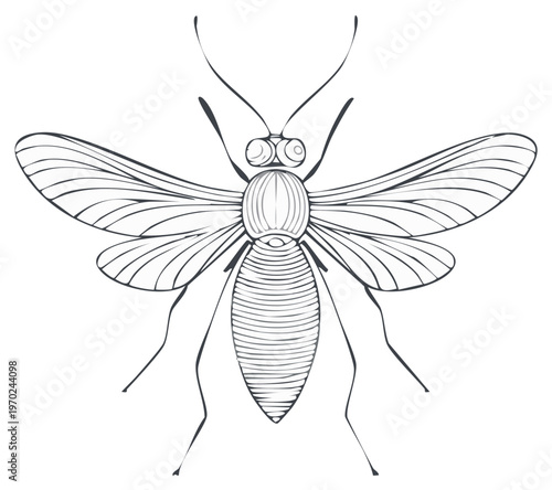 Detailed monochrome outline illustration of a stylized insect with delicate wings and antennae