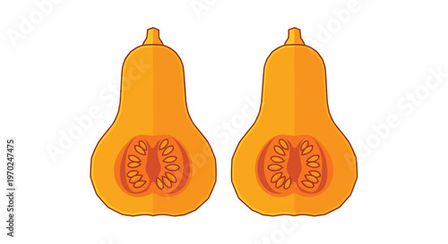 Two symmetrical halves of a ripe butternut squash are presented in a clean flat design style showing the inner seeds and vibrant orange flesh clearly.