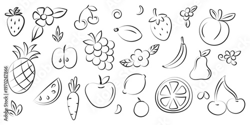 Minimal line art fruit doodle set with black outline icons on white background, hand drawn food elements clean modern illustration collection