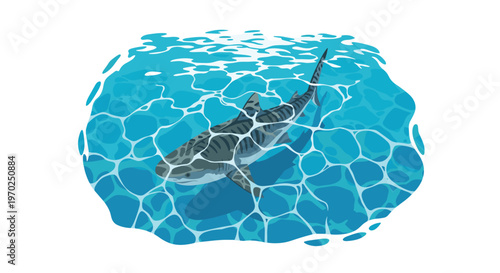 A striped tiger shark swims in clear blue water with light reflections on the surface, viewed from above.