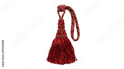 Obraz na plátně Decorative red velvet tassel with gold twisted cord