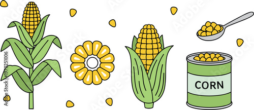 Corn illustration with plant, cob, kernels, spoon, and canned food concept in cartoon style