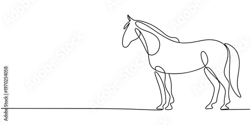 Continuous line horse, minimalist vector, equine illustration, simple animal design