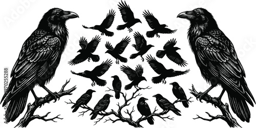 Black raven and crow silhouettes on tree branches, detailed bird illustration for nature designs, mystical wildlife graphics, gothic raven art for creative stock projects