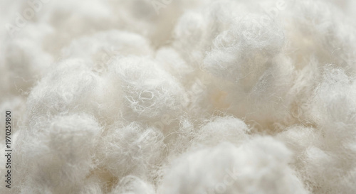 A detailed macro photograph of the soft, fibrous texture of natural raw cotton fibers.
