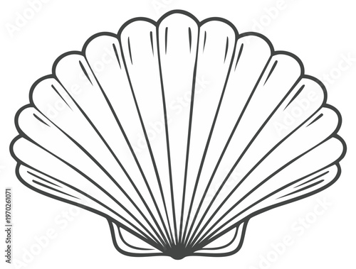 Hand drawn outline illustration of a scallop seashell marine mollusk icon vector
