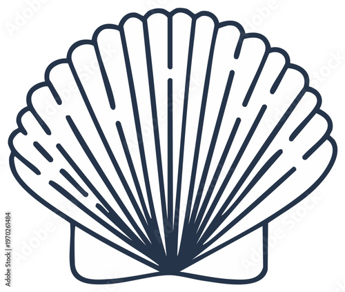 Minimalist scallop seashell line art illustration simple ocean marine symbol for summer vacation travel