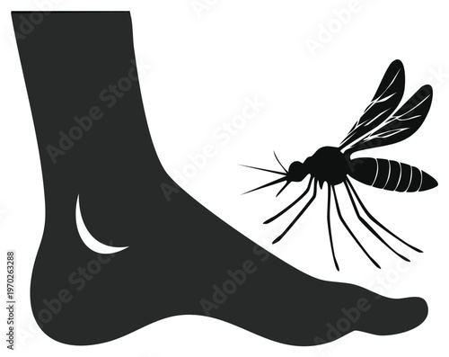 Mosquito approaching foot, insect approaching human. Bite risk. Illustration of insect, vector.