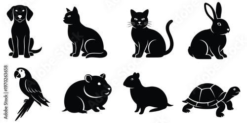 Domestic pet silhouettes collection with dog cat rabbit parrot and turtle vector
