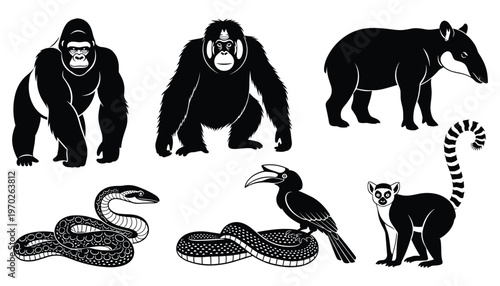 Gorilla orangutan tapir snake toucan lemur animal silhouette vector set for wildlife design