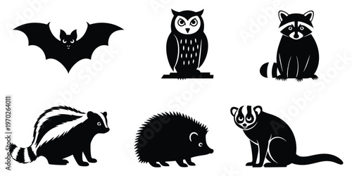 Nocturnal animals vector silhouettes with owl bat raccoon skunk hedgehog lemur wildlife graphic illustration