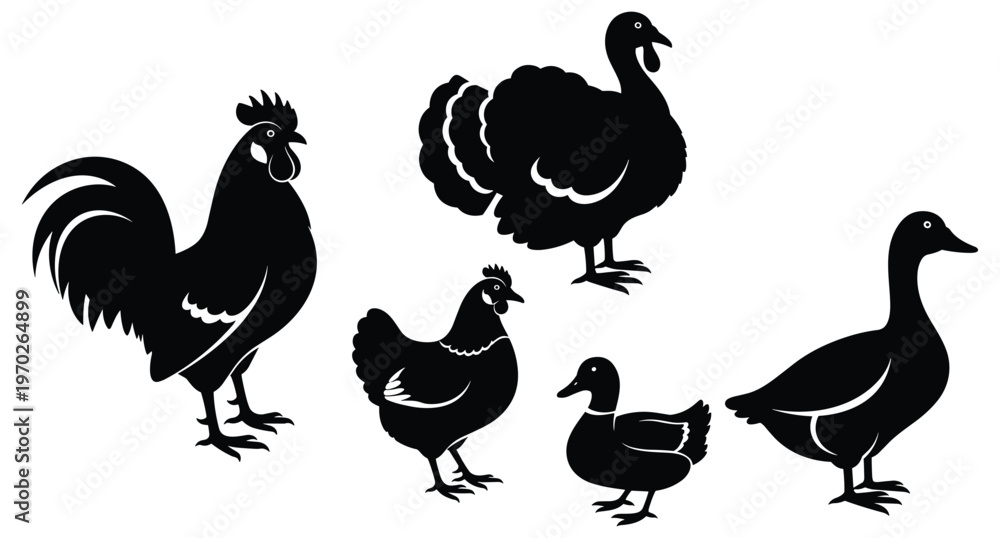 Fototapeta premium Rooster turkey pigeon hen duckling goose bird silhouette vector set for farmyard poultry design