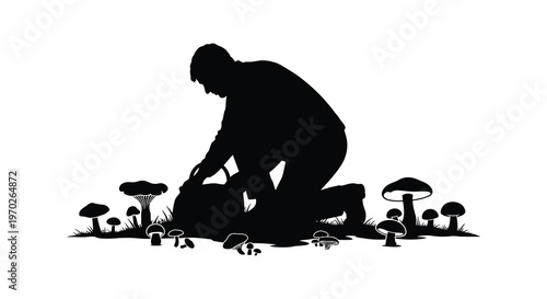 A lone tree stands against a vibrant sunset a striking silhouette