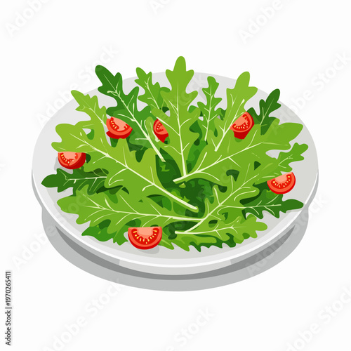 Rucola Salat