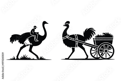 Ostrich riding and ostrich pulling a cart, vector illustration, black and white