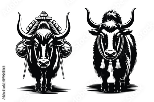Black and white illustration of two yaks loaded with packs
