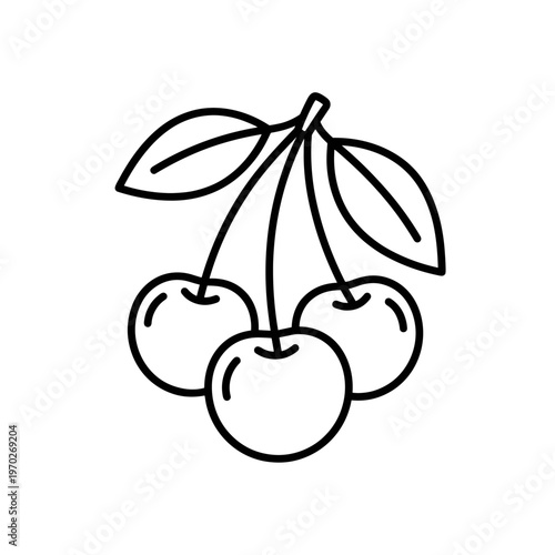 Cluster of three cherries with leaves and stems