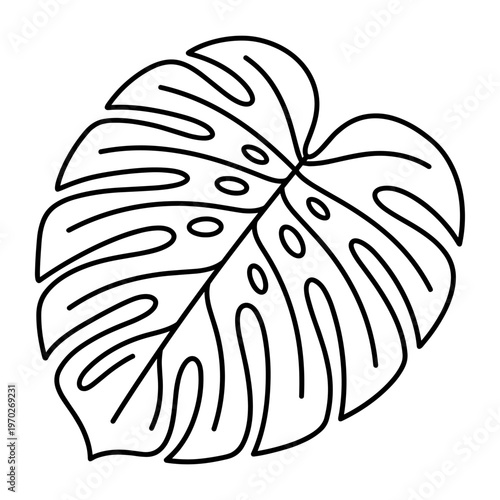 Minimalist monstera leaf line art illustration