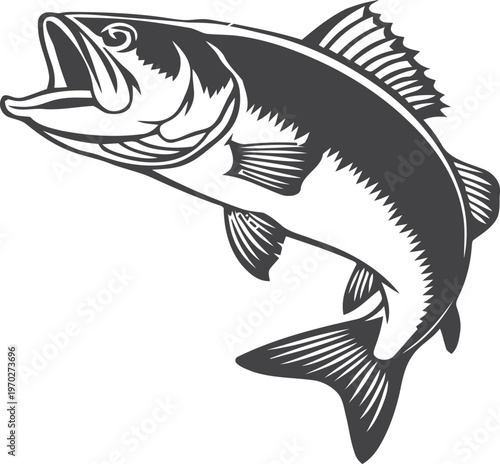 Black and white illustration of a large bass fish jumping out of water in a dynamic pose style