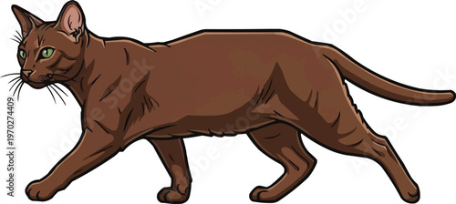 Asian Self Cat walking relaxed movement side view vector illustration