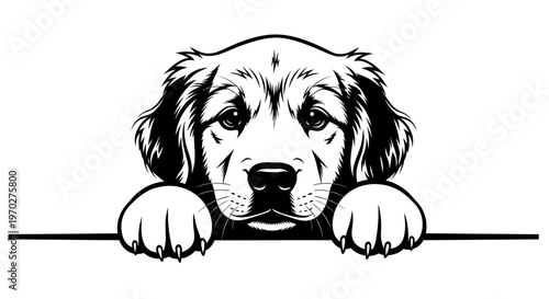 Adorable puppy peeking over a blank surface.