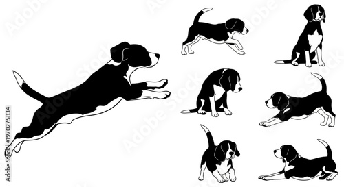 Black and white beagle puppies in various playful poses on a white background.