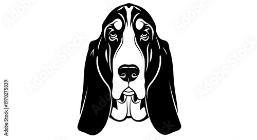 Black and white illustration of a Basset Hound dog head.