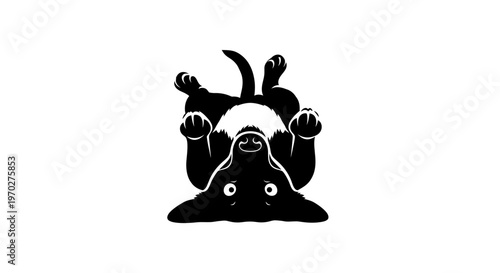 Black and white illustration of a dog lying on its back, looking up with wide eyes.