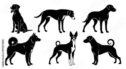 Collection of various dog breed silhouettes in different poses.