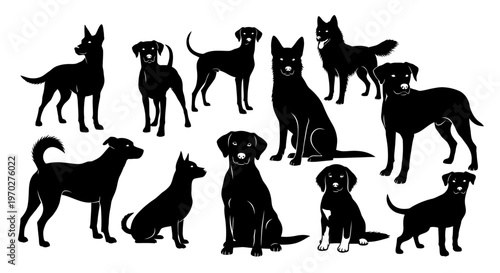 Collection of various dog breeds in silhouette form.
