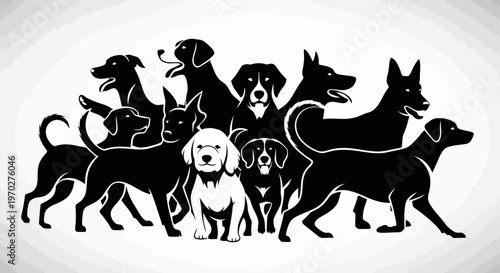 Diverse Group of Canine Companions Standing Together.