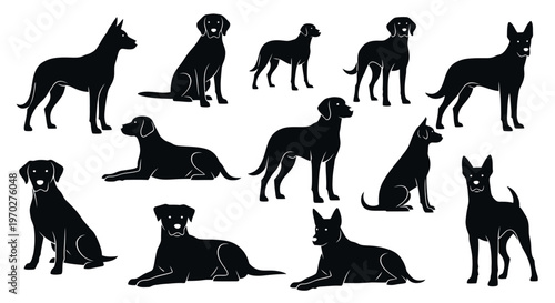 Collection of various dog breeds in silhouette poses.