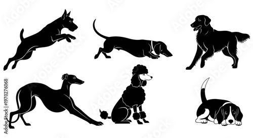 Collection of various dog breeds in silhouette, showcasing different poses and characteristics.